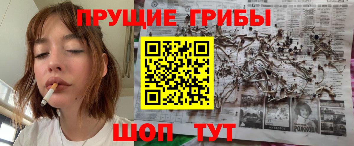 Псилоцибиновые грибы мухоморы  Галлюциногенные грибы Psilocybe  Черкесск  Вход с VPN 