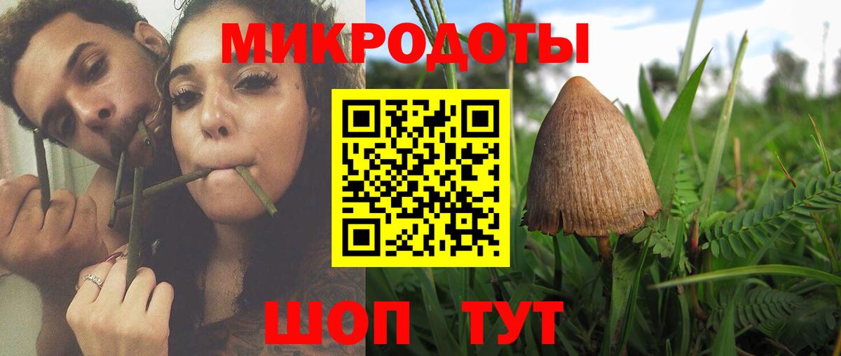 Псилоцибиновые грибы мухоморы Черкесск